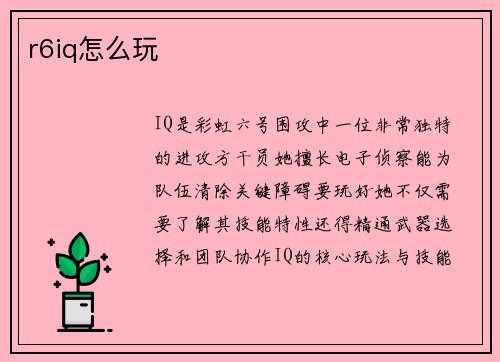 r6iq怎么玩